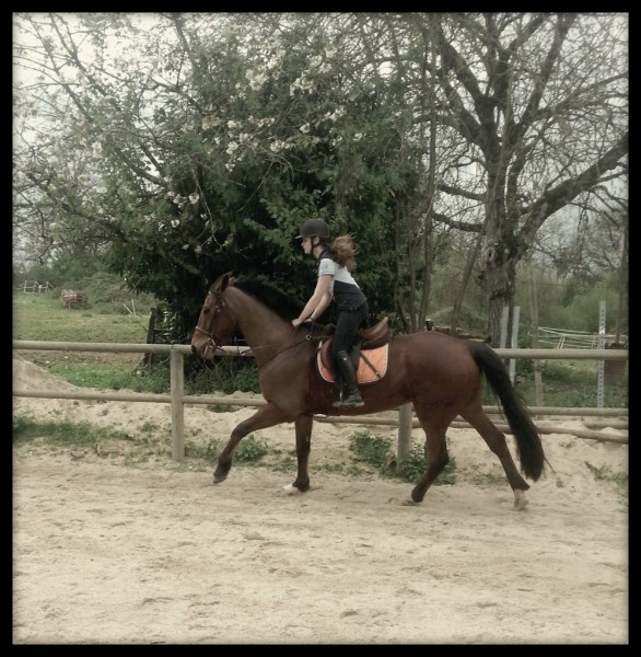 Photo de profil de utoparla