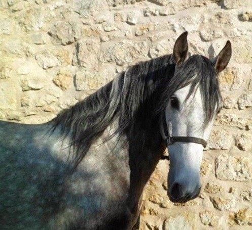 Photo de profil de valfon