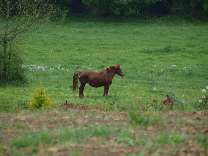 Photo de profil de vallondeshuppes