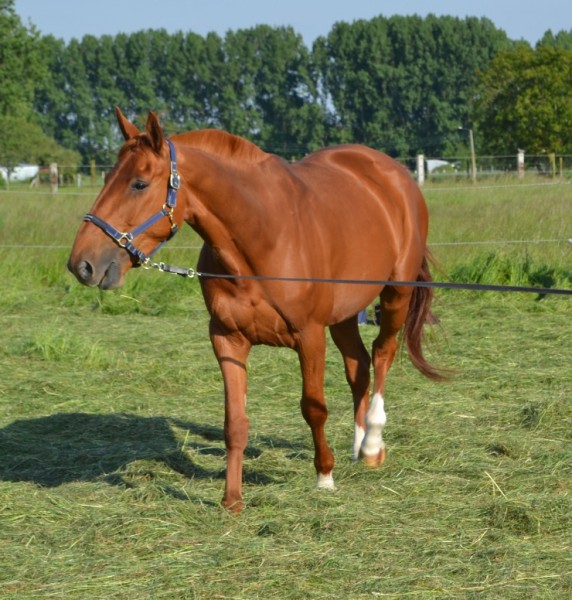 Photo de profil de vista1