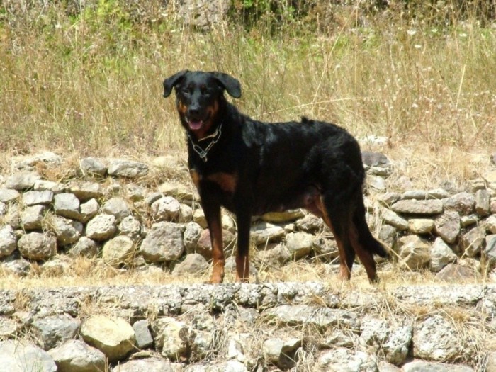Photo de profil de vulcane83