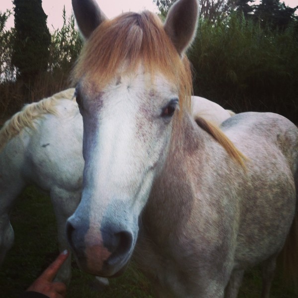 Photo de profil de wianak