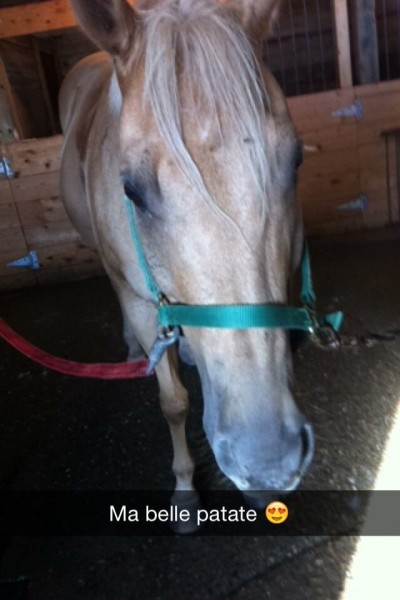 Photo de profil de woodyclarabelle