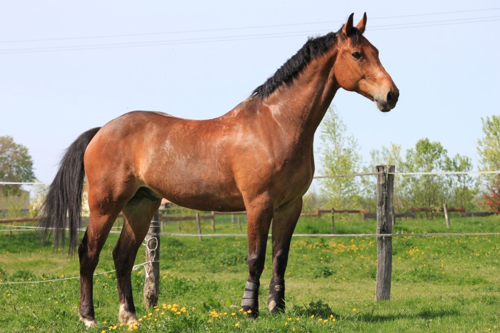 Photo de profil de xavier39