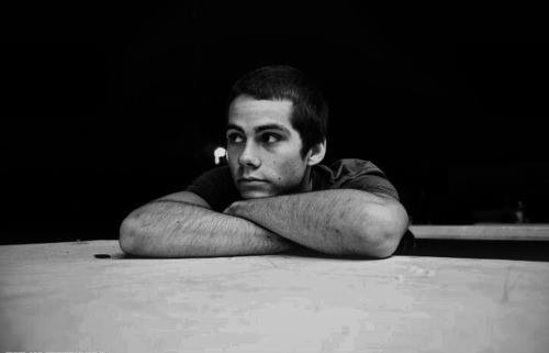 Photo de profil de yellowwwe