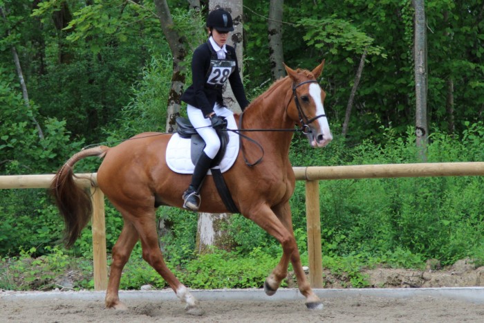 Photo de profil de youyouty