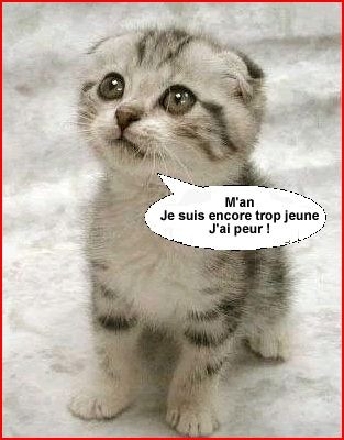 Photo de profil de aiden