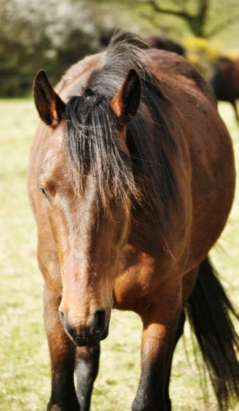 Photo de profil de akhal9