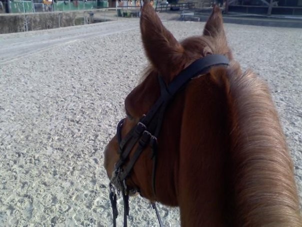 Photo de profil de alexandra74