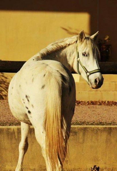 Photo de profil de annecharlotte_h