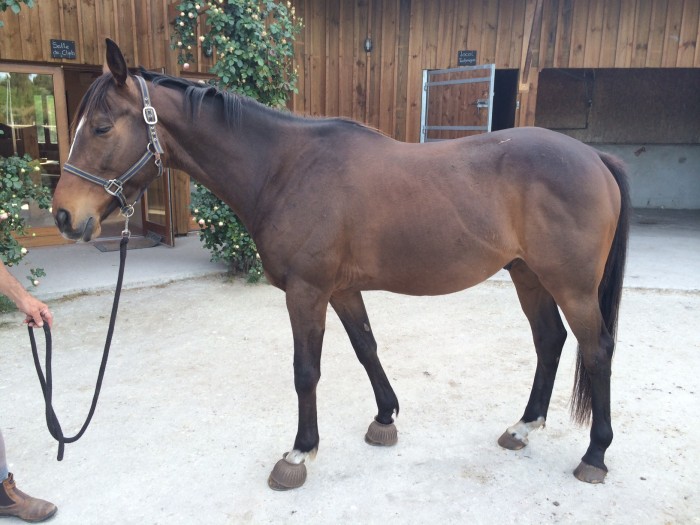 Photo de profil de antoine310