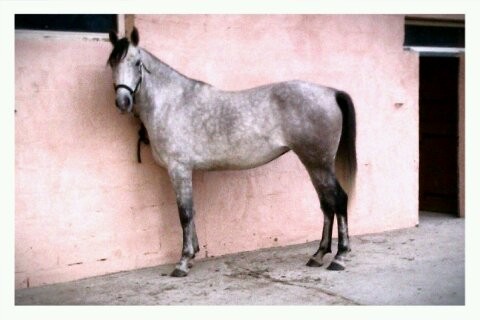 Photo de profil de aouette