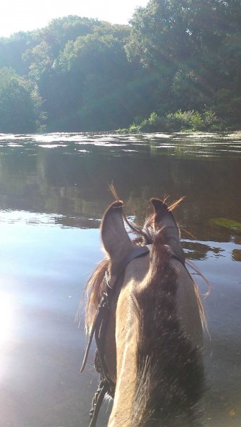 Photo de profil de aurelie6