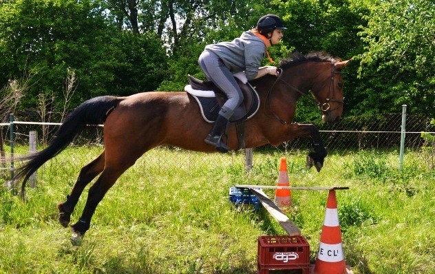 Photo de profil de aurelieduquenoy