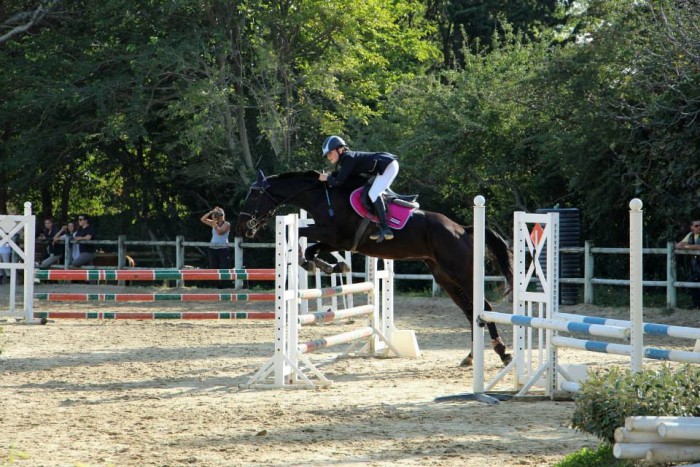 Photo de profil de axellehorse