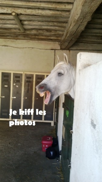 Photo de profil de babouche16