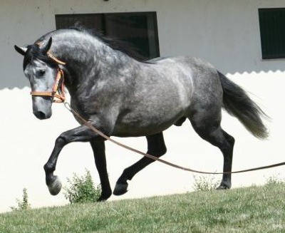 Photo de profil de badou40