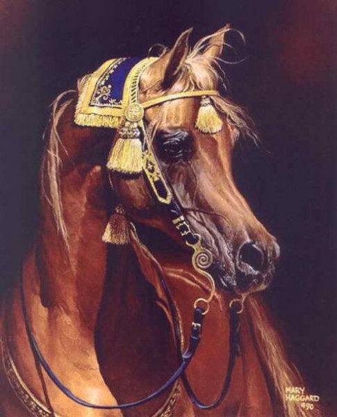 Photo de profil de balzanes84