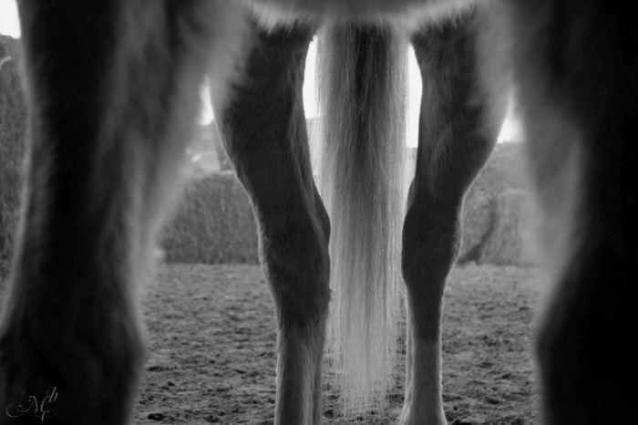 Photo de profil de bebishou