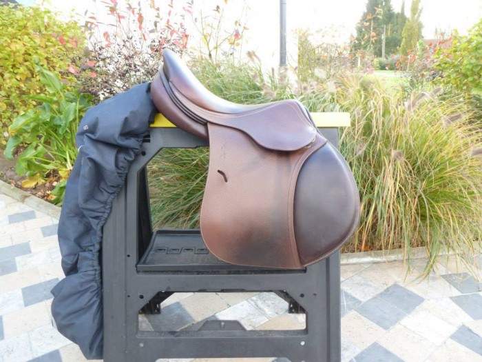 Photo de profil de bitty