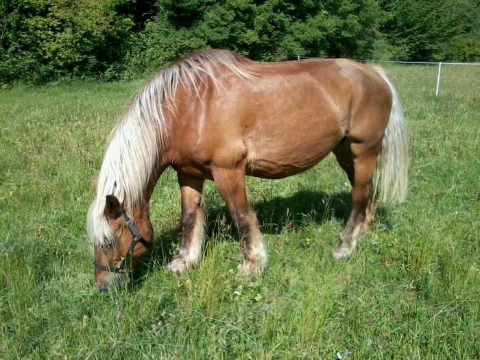 Photo de profil de bouletdu04