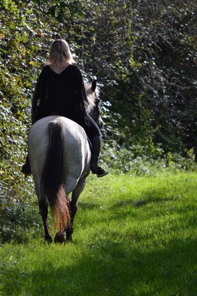 Photo de profil de broceliande24