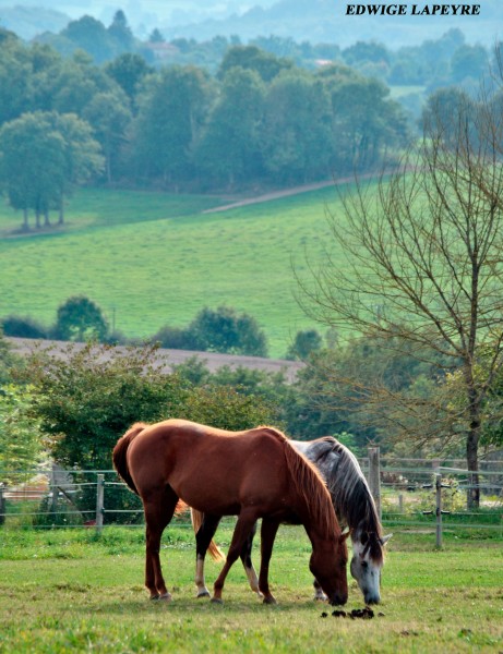 Photo de profil de buckybuck