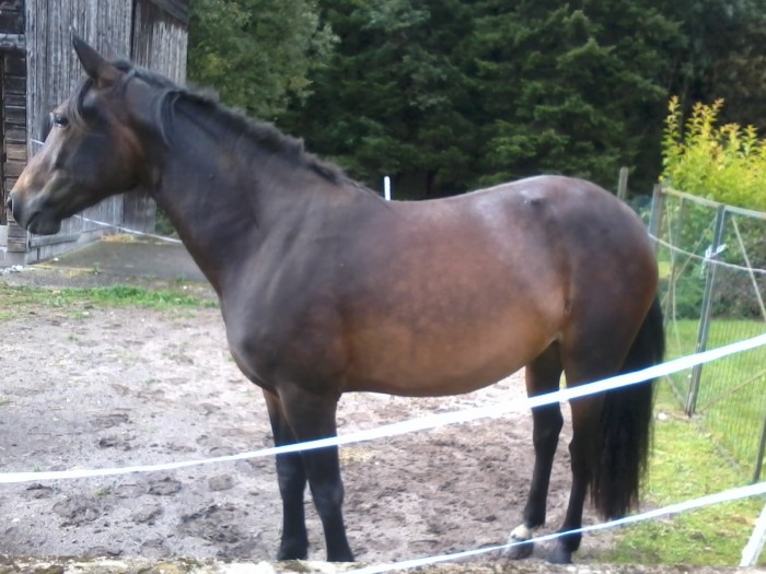 Photo de profil de cannellenouille