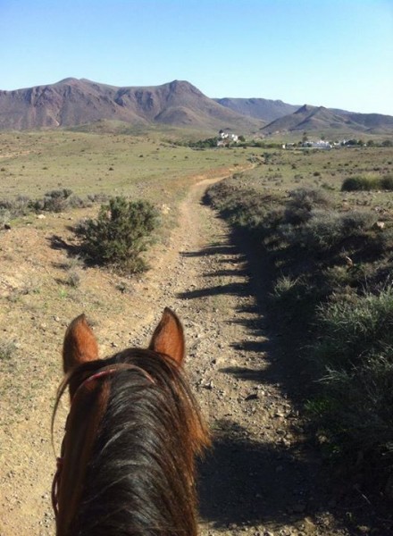 Photo de profil de cassandram13