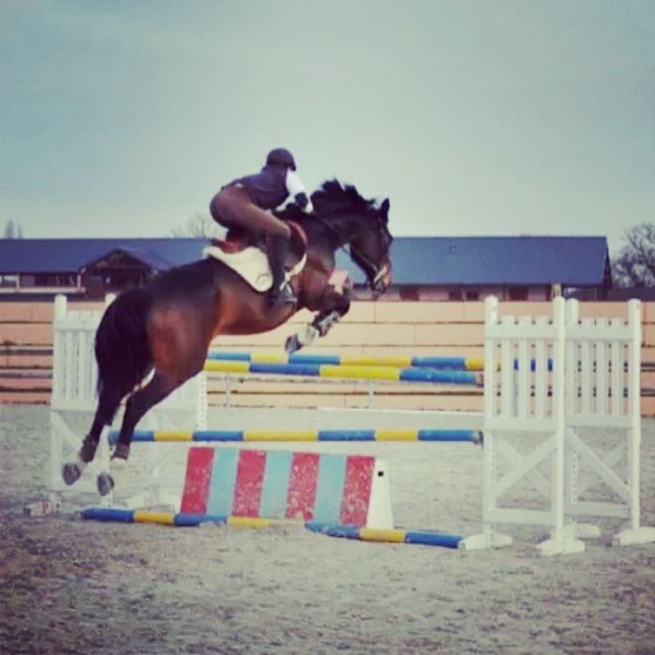 Photo de profil de cavaliere41