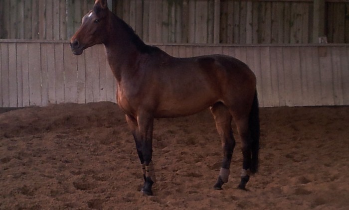 Photo de profil de celine77260