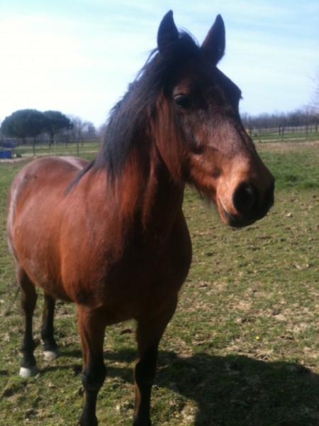 Photo de profil de chalala