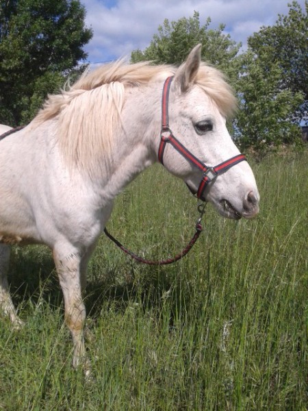 Photo de profil de chamalow22
