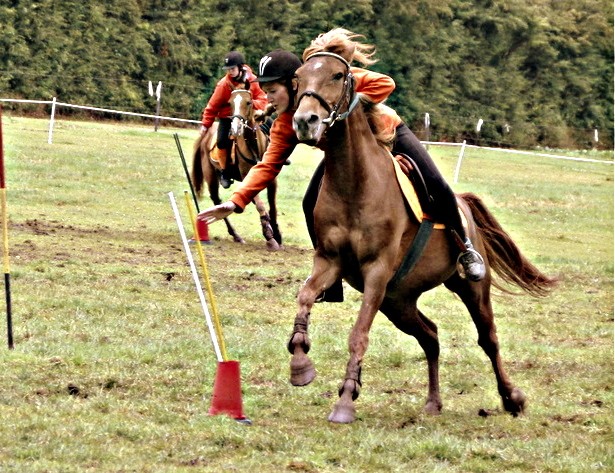 Photo de profil de champagne.