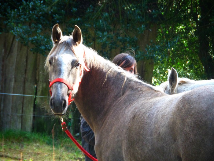 Photo de profil de _chanceuse_