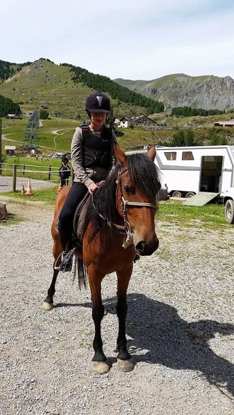 Photo de profil de chevalandponey