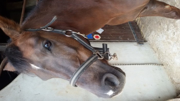 Photo de profil de chloenesla36