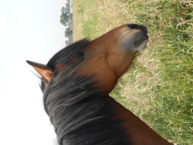 Photo de profil de chriistou07