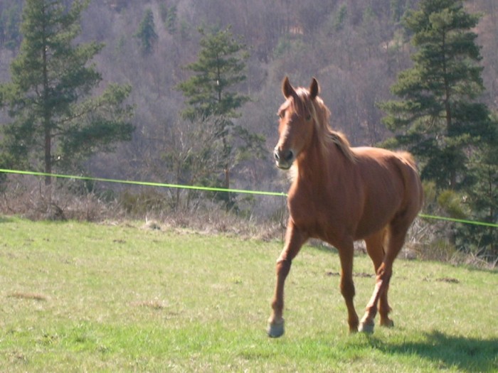 Photo de profil de chris43