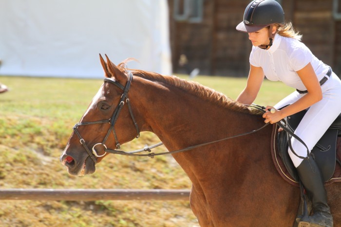 Photo de profil de cindytp