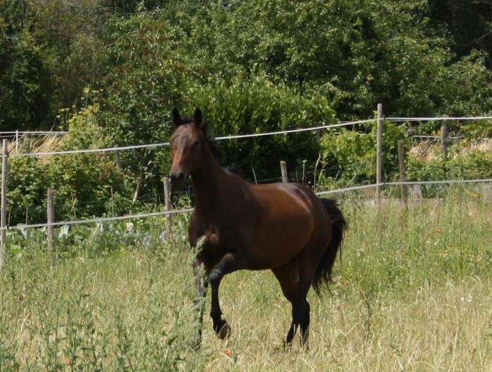 Photo de profil de clairepiron49