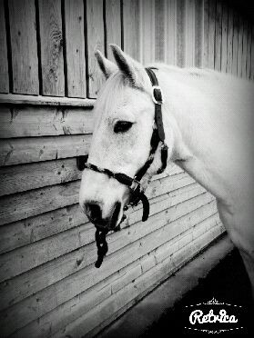 Photo de profil de cloclo56