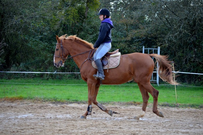 Photo de profil de cloe86