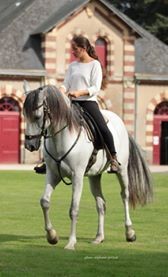 Photo de profil de comparini