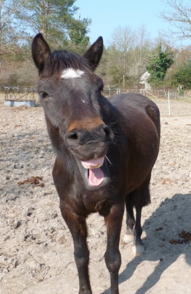 Photo de profil de crackot