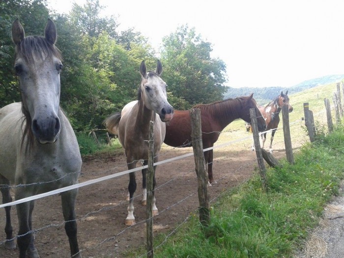 Photo de profil de cricri7638