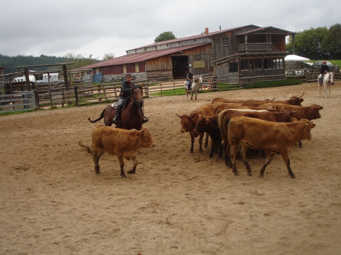 Photo de profil de dainti