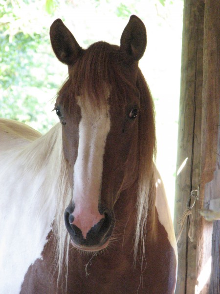 Photo de profil de david42360