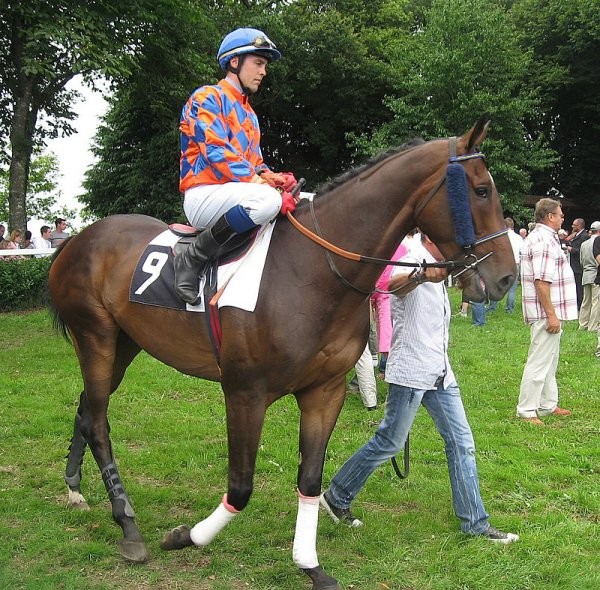 Photo de profil de diano