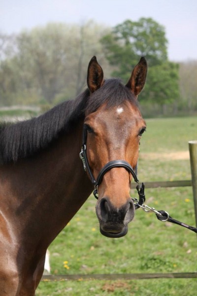 Photo de profil de dicajuju